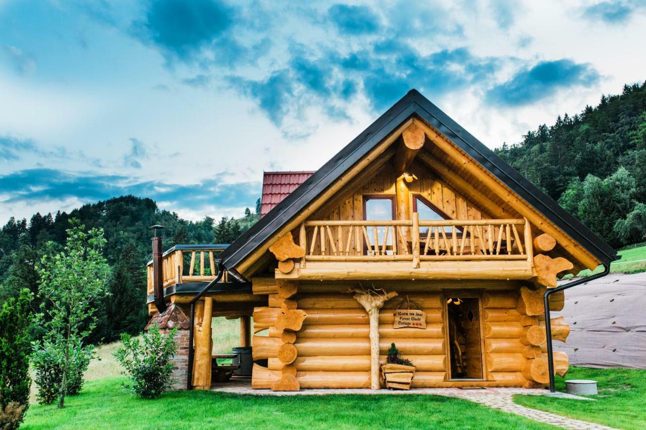 Forest Glade Cottage - Koča na jasi Recica ob Savinji Exterior foto
